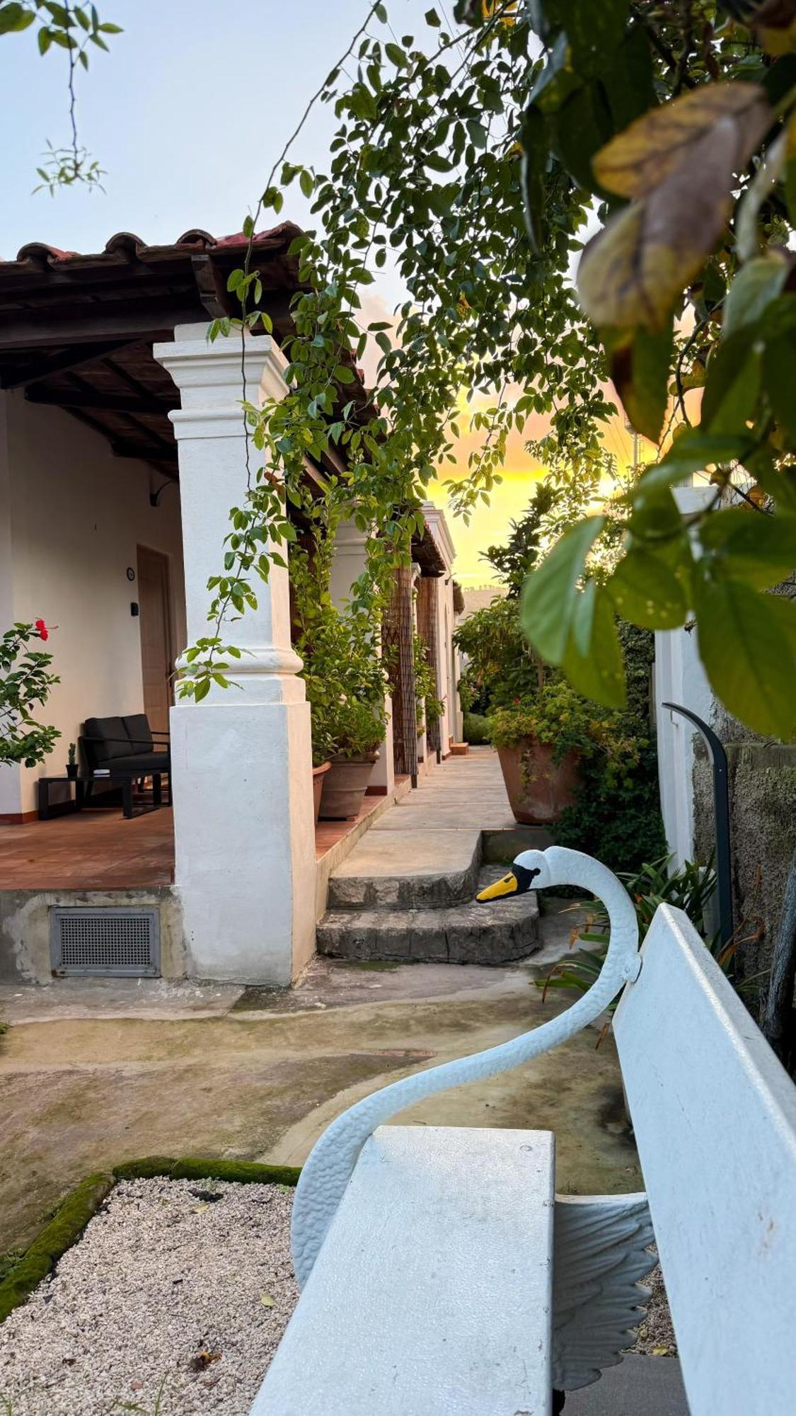Il Cigno B&B Capri Bagian luar foto