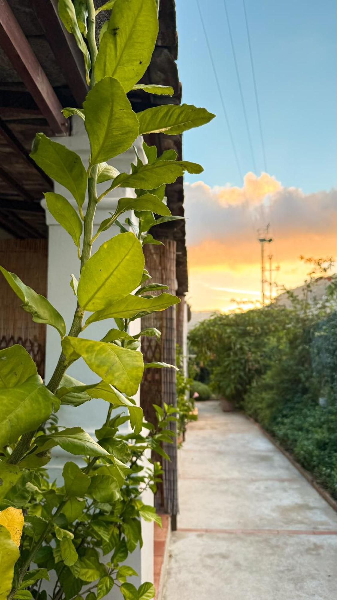 Il Cigno B&B Capri Bagian luar foto