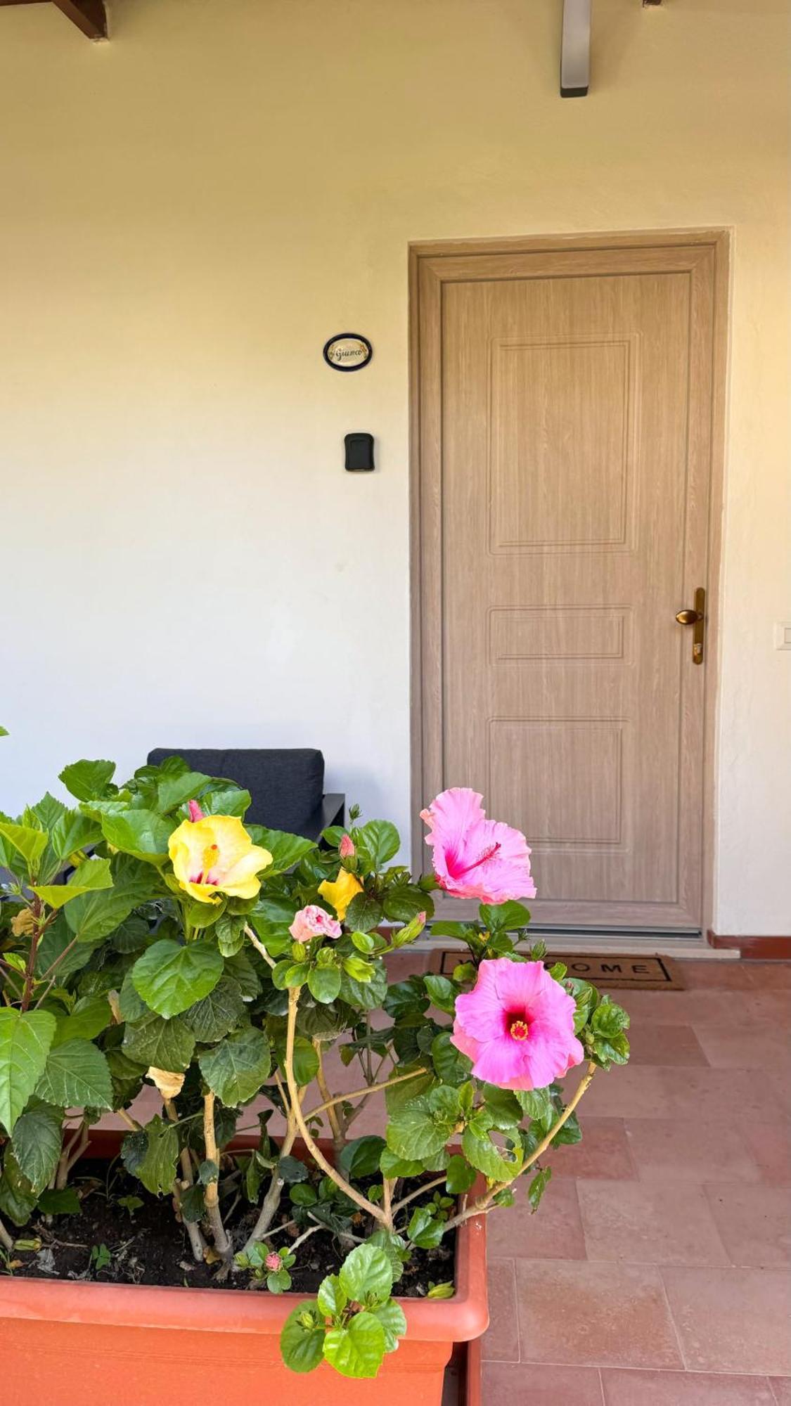 Il Cigno B&B Capri Bagian luar foto