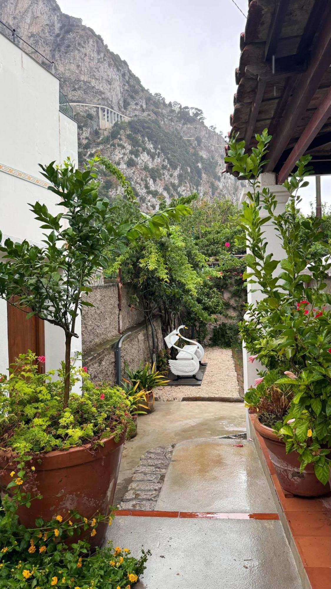 Il Cigno B&B Capri Bagian luar foto