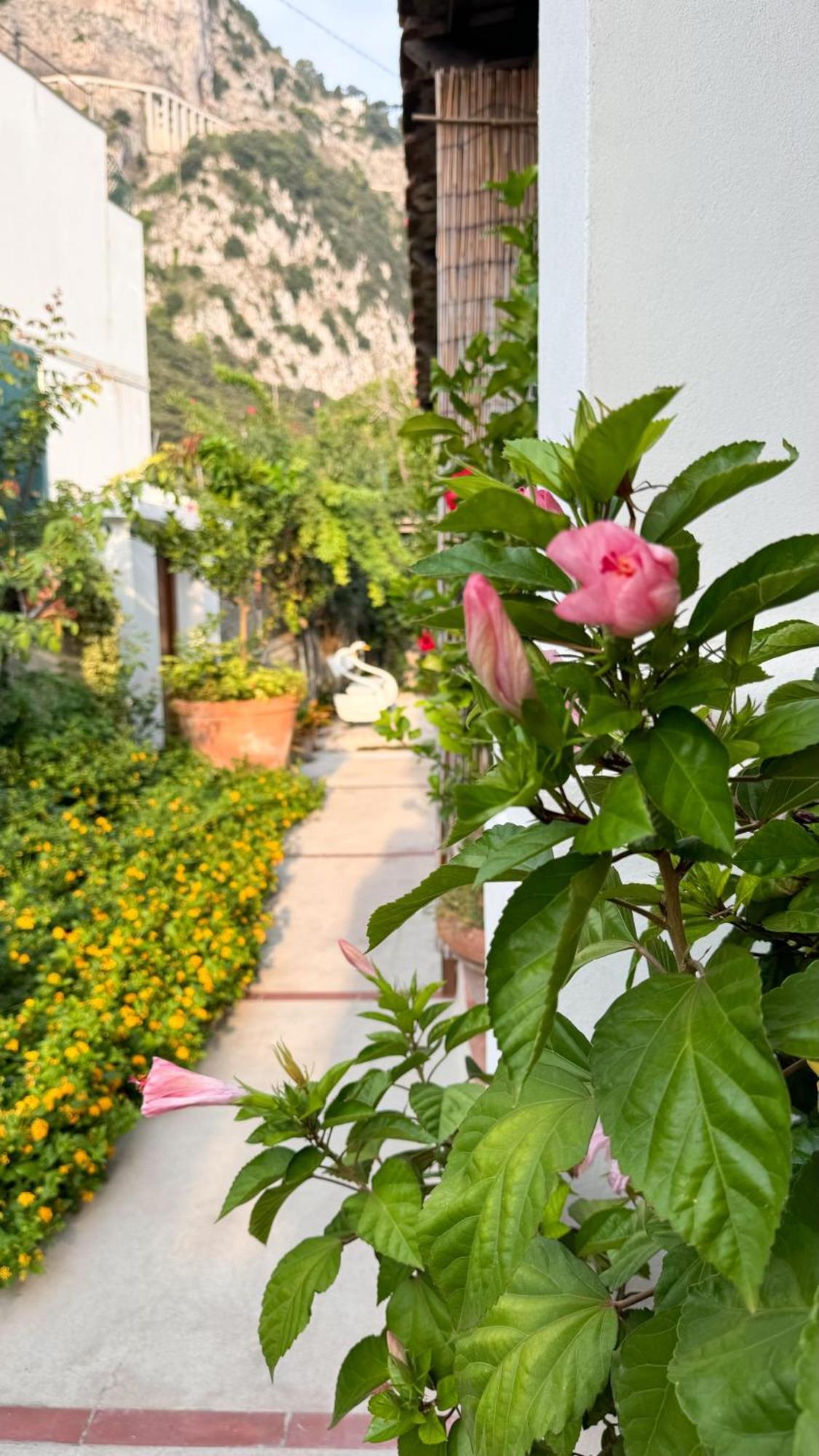 Il Cigno B&B Capri Bagian luar foto