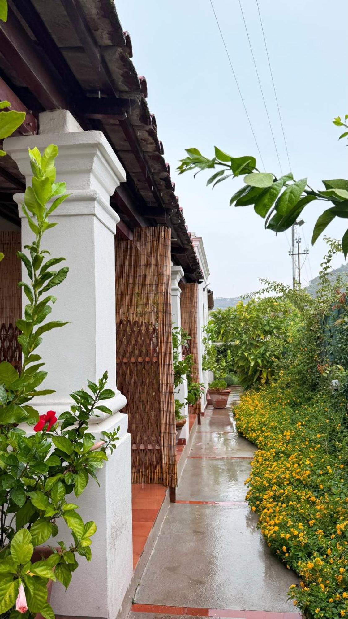 Il Cigno B&B Capri Bagian luar foto
