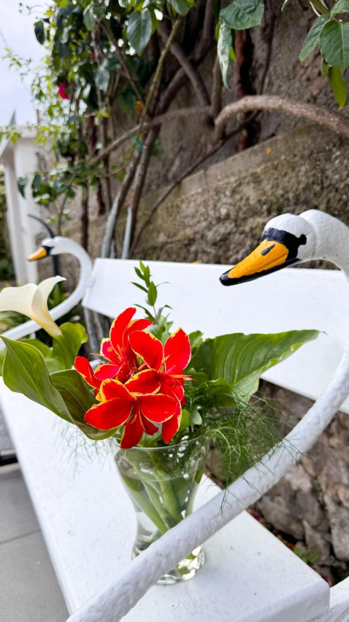 Il Cigno B&B Capri Bagian luar foto