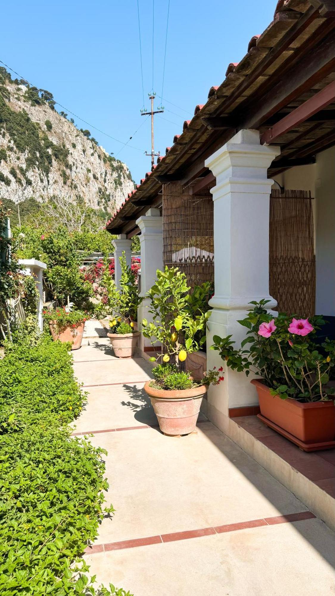 Il Cigno B&B Capri Bagian luar foto
