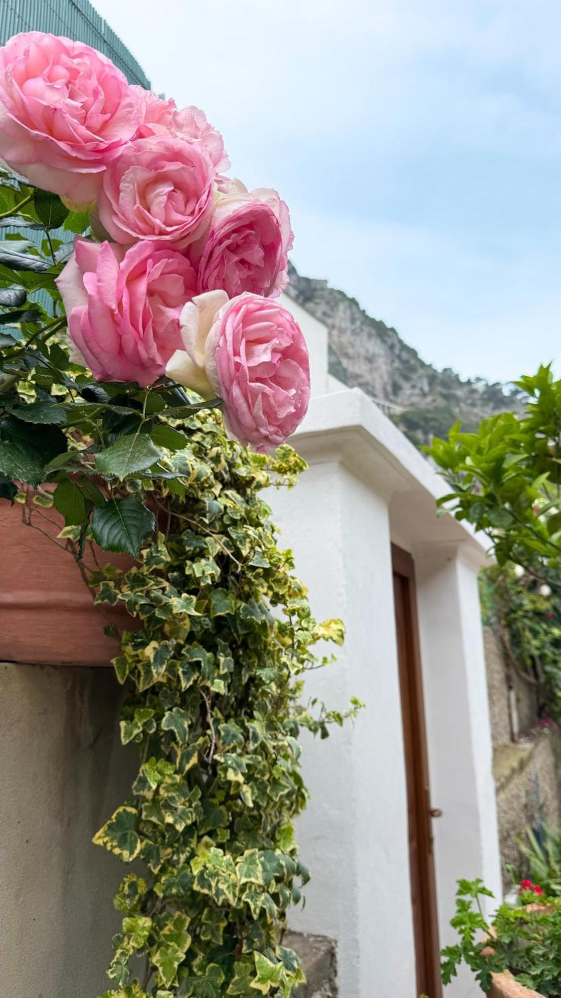 Il Cigno B&B Capri Bagian luar foto