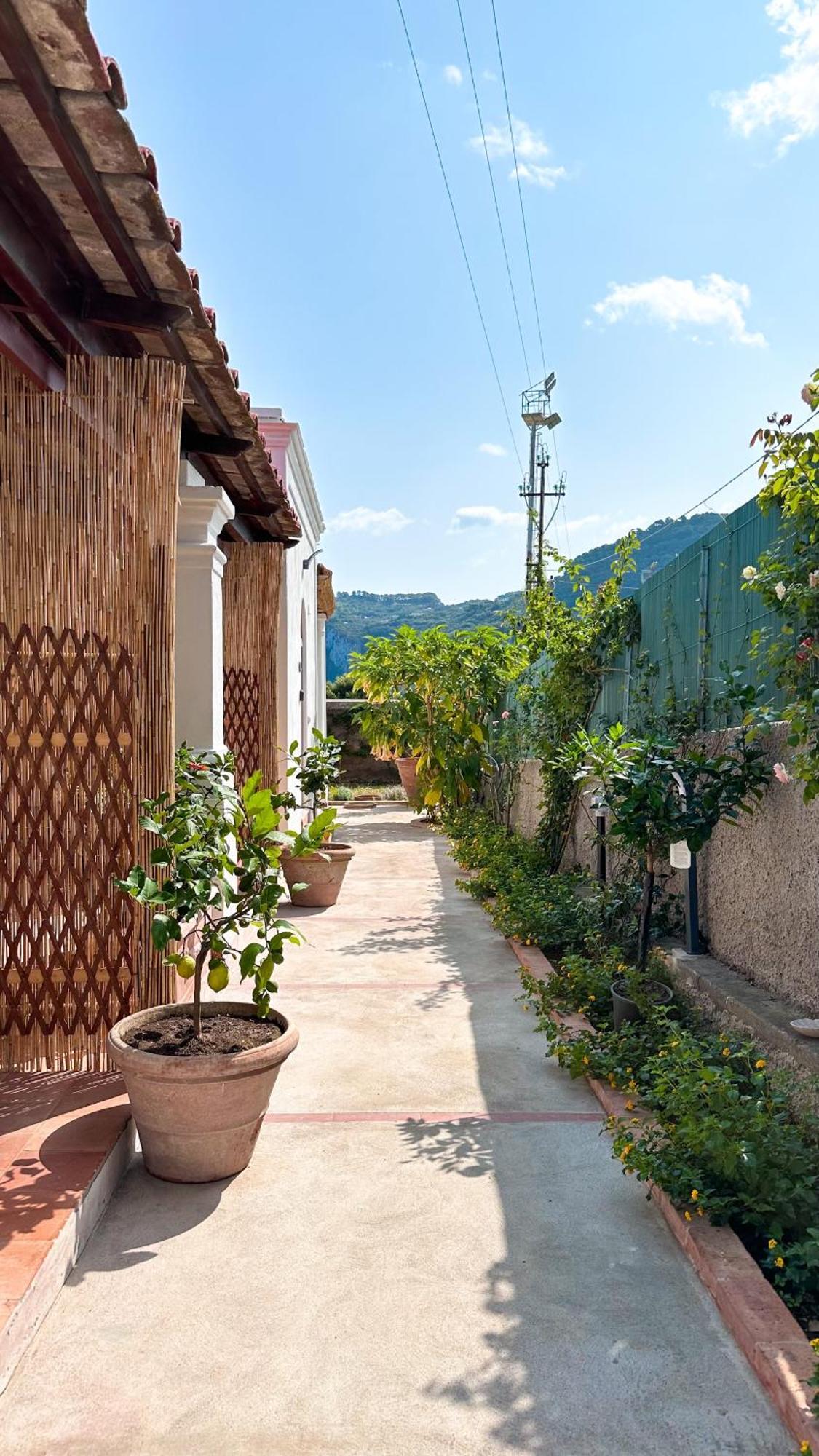 Il Cigno B&B Capri Bagian luar foto